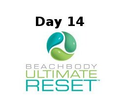 Ultimate Reset Day 14