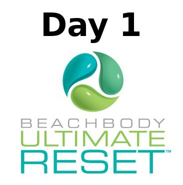 Ultimate Reset Day 1